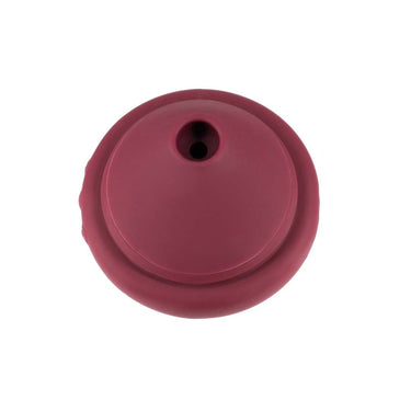 Ayay. Succionadores de Clítoris